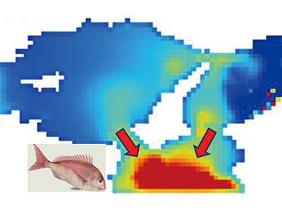 Marine Environment Systems