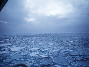 Waves propagating in the ice-covered Arctic Ocean（Mirai cruise, 2018）