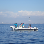 Testing Wave-Argo-Typhoon observation device near Enoshima